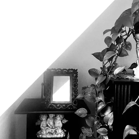Apartment Stella Yardena *